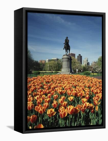 Tulip Patch with Statue of Washington, Boston, Massachusetts,USA-Walter Bibikow-Framed Premier Image Canvas