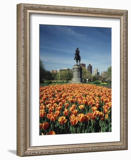 Tulip Patch with Statue of Washington, Boston, Massachusetts,USA-Walter Bibikow-Framed Photographic Print