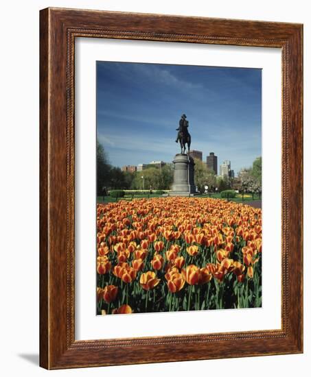 Tulip Patch with Statue of Washington, Boston, Massachusetts,USA-Walter Bibikow-Framed Photographic Print