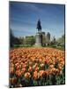 Tulip Patch with Statue of Washington, Boston, Massachusetts,USA-Walter Bibikow-Mounted Photographic Print