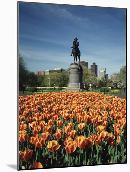 Tulip Patch with Statue of Washington, Boston, Massachusetts,USA-Walter Bibikow-Mounted Photographic Print