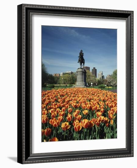 Tulip Patch with Statue of Washington, Boston, Massachusetts,USA-Walter Bibikow-Framed Photographic Print