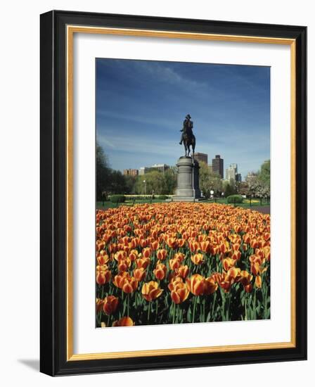 Tulip Patch with Statue of Washington, Boston, Massachusetts,USA-Walter Bibikow-Framed Photographic Print