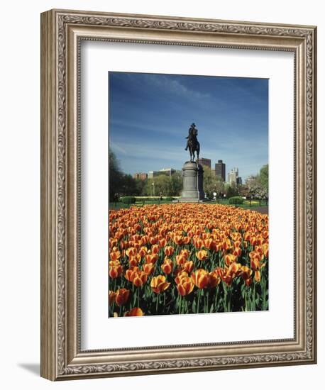 Tulip Patch with Statue of Washington, Boston, Massachusetts,USA-Walter Bibikow-Framed Photographic Print