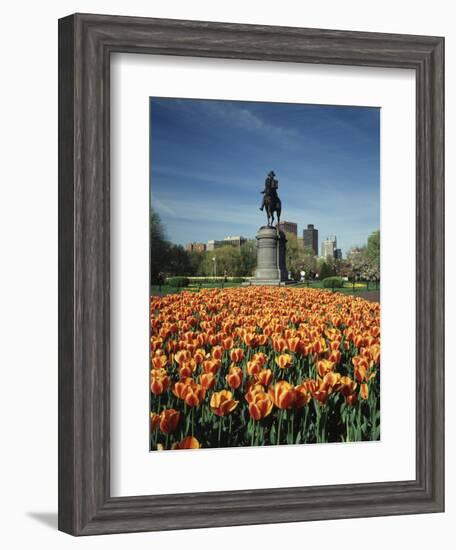 Tulip Patch with Statue of Washington, Boston, Massachusetts,USA-Walter Bibikow-Framed Photographic Print