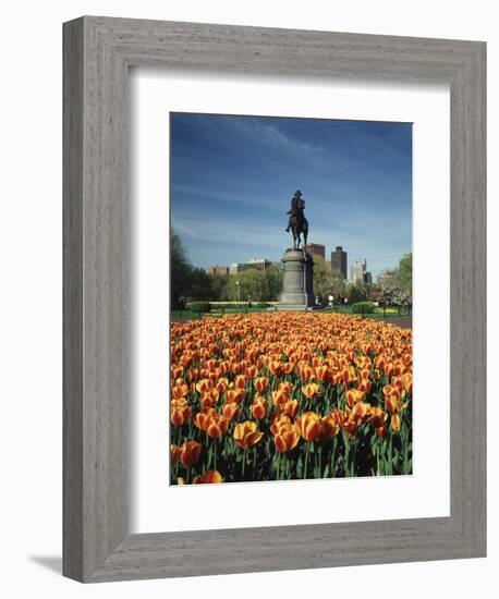Tulip Patch with Statue of Washington, Boston, Massachusetts,USA-Walter Bibikow-Framed Photographic Print