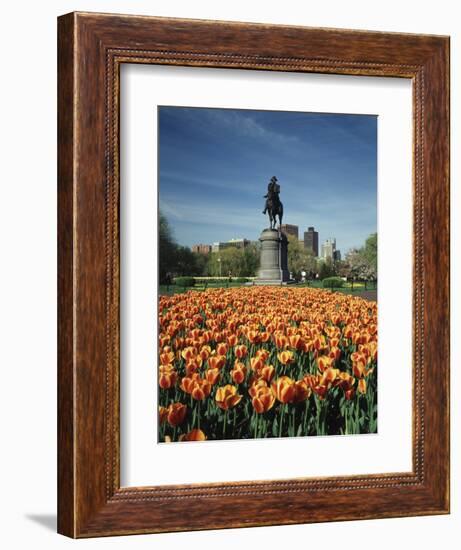 Tulip Patch with Statue of Washington, Boston, Massachusetts,USA-Walter Bibikow-Framed Photographic Print