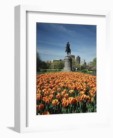 Tulip Patch with Statue of Washington, Boston, Massachusetts,USA-Walter Bibikow-Framed Photographic Print