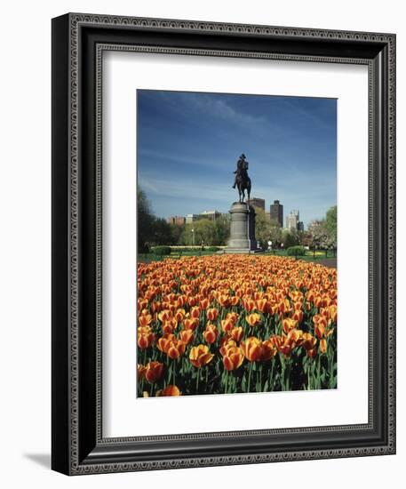 Tulip Patch with Statue of Washington, Boston, Massachusetts,USA-Walter Bibikow-Framed Photographic Print