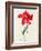 Tulip: Perroquet Rouge-Georg Dionysius Ehret-Framed Giclee Print