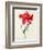 Tulip: Perroquet Rouge-Georg Dionysius Ehret-Framed Giclee Print