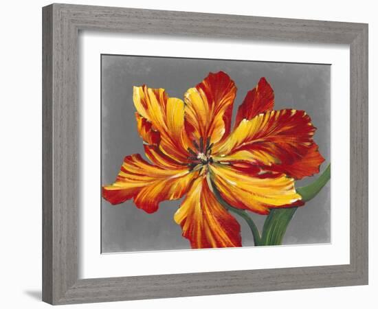 Tulip Portrait I-Tim O'toole-Framed Art Print