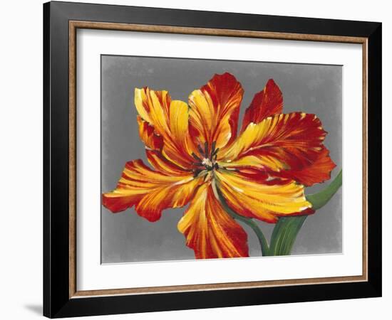 Tulip Portrait I-Tim O'toole-Framed Art Print