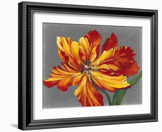 Tulip Portrait I-Tim O'toole-Framed Art Print