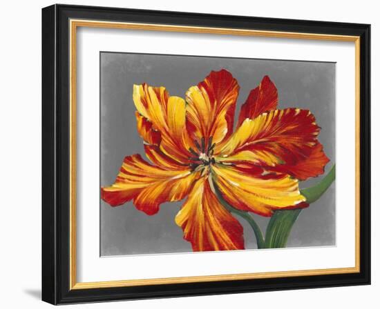 Tulip Portrait I-Tim O'toole-Framed Art Print