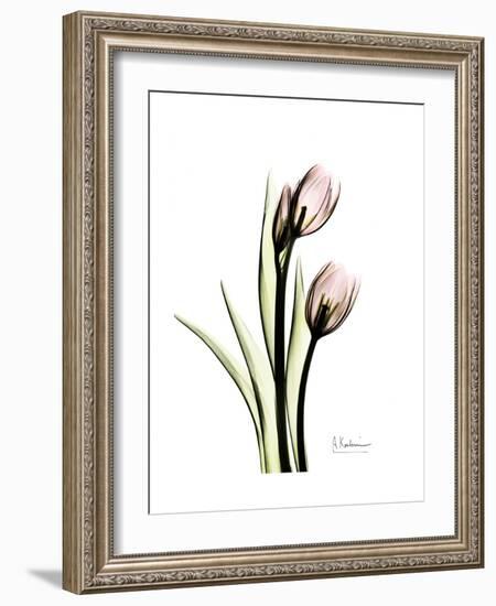 Tulip Portrait-Albert Koetsier-Framed Premium Giclee Print