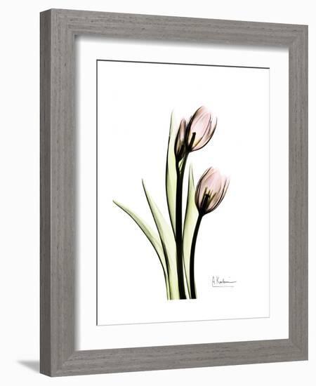 Tulip Portrait-Albert Koetsier-Framed Premium Giclee Print