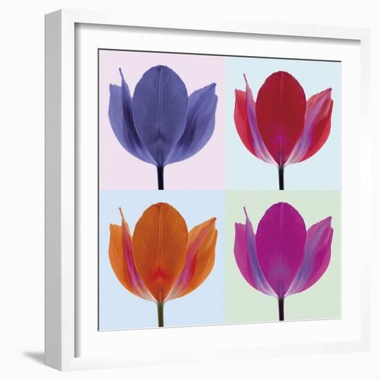 Tulip Quadrant II-Katja Marzahn-Framed Giclee Print