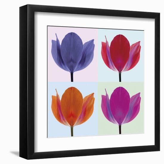 Tulip Quadrant II-Katja Marzahn-Framed Giclee Print