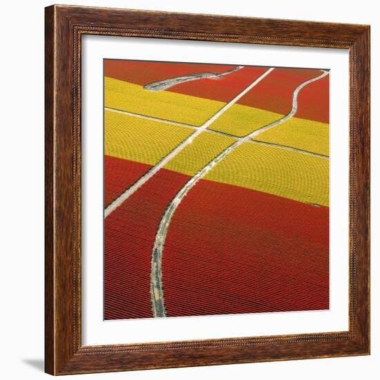 Tulip Roads-Howard Ruby-Framed Photographic Print