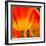 Tulip's Petals-George Lepp-Framed Photographic Print