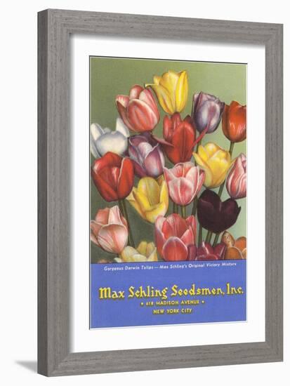 Tulip Seed Packet-null-Framed Art Print