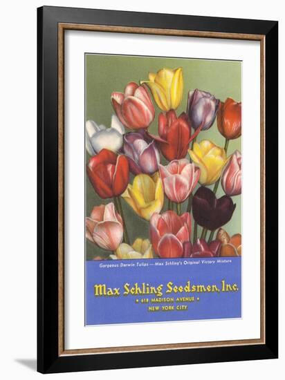 Tulip Seed Packet-null-Framed Art Print