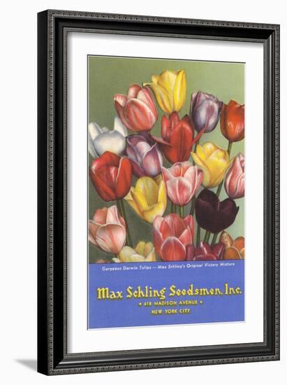 Tulip Seed Packet-null-Framed Art Print