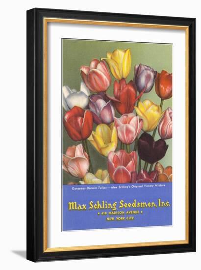 Tulip Seed Packet-null-Framed Art Print