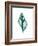 Tulip Shell-Albert Koetsier-Framed Premium Giclee Print