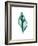 Tulip Shell-Albert Koetsier-Framed Premium Giclee Print