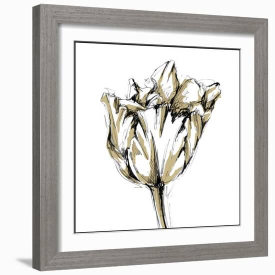 Tulip Sketch I-Ethan Harper-Framed Art Print