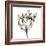 Tulip Sketch I-Ethan Harper-Framed Art Print