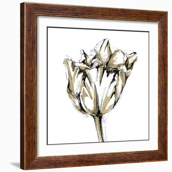 Tulip Sketch I-Ethan Harper-Framed Art Print