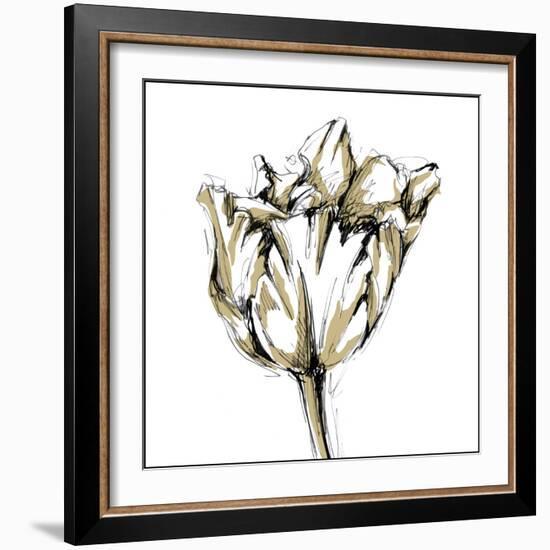 Tulip Sketch I-Ethan Harper-Framed Art Print