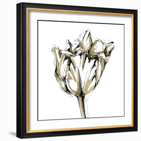 Tulip Sketch I-Ethan Harper-Framed Art Print