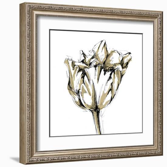 Tulip Sketch I-Ethan Harper-Framed Art Print