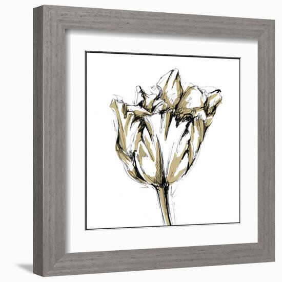 Tulip Sketch I-Ethan Harper-Framed Art Print