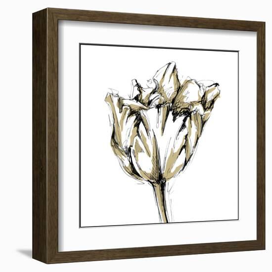 Tulip Sketch I-Ethan Harper-Framed Art Print