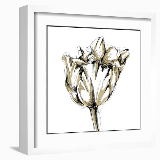 Tulip Sketch I-Ethan Harper-Framed Art Print