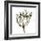 Tulip Sketch I-Ethan Harper-Framed Art Print