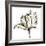 Tulip Sketch III-Ethan Harper-Framed Art Print