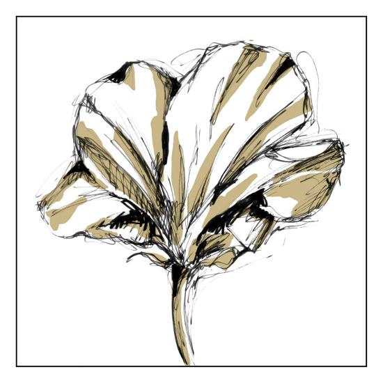 tulip sketch iv art print by ethan harper art com