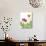 Tulip Skies II-Callie Crosby and Rebecca Daw-Giclee Print displayed on a wall