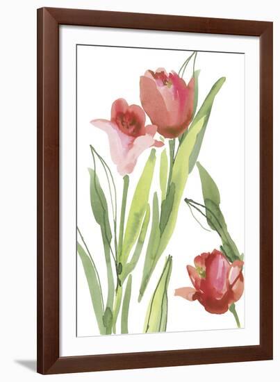 Tulip Symphony II-Sandra Jacobs-Framed Giclee Print