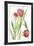 Tulip Symphony II-Sandra Jacobs-Framed Giclee Print