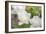 Tulip Three-Robert Goldwitz-Framed Photographic Print