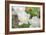 Tulip Three-Robert Goldwitz-Framed Photographic Print