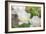 Tulip Three-Robert Goldwitz-Framed Photographic Print