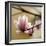 Tulip Tree-null-Framed Photographic Print